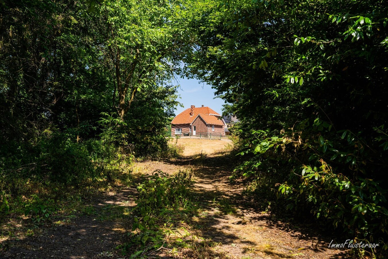 Belle maison avec écurie et terrain d'environ 1,63 ha à Opglabbeek (Oudsbergen) 