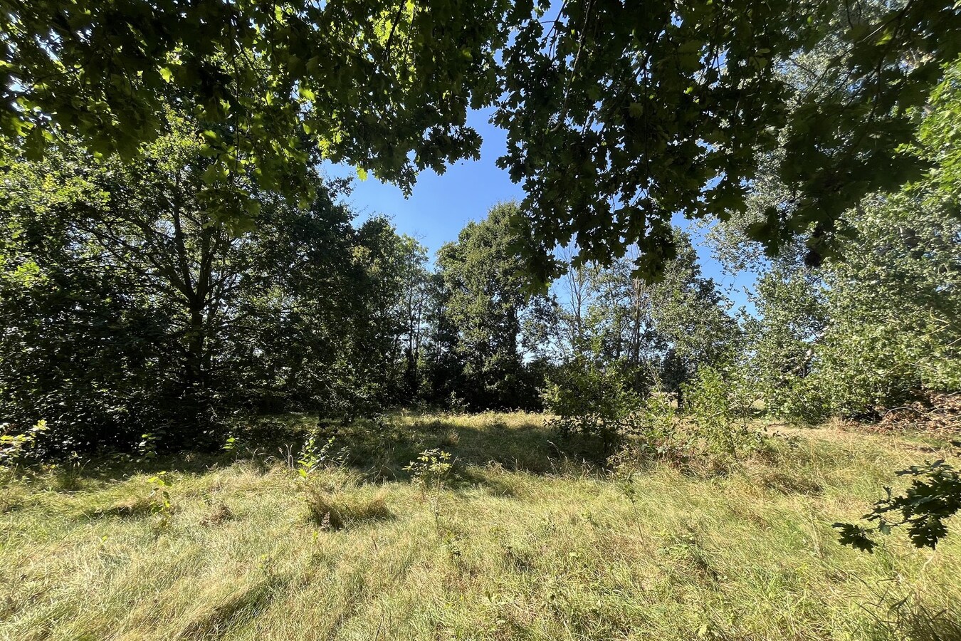 Authentieke hoeve met bijgebouw op 83 a 74 ca 
