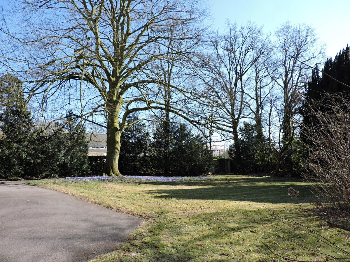 kasteel luxevastgoed villa sdb real estate