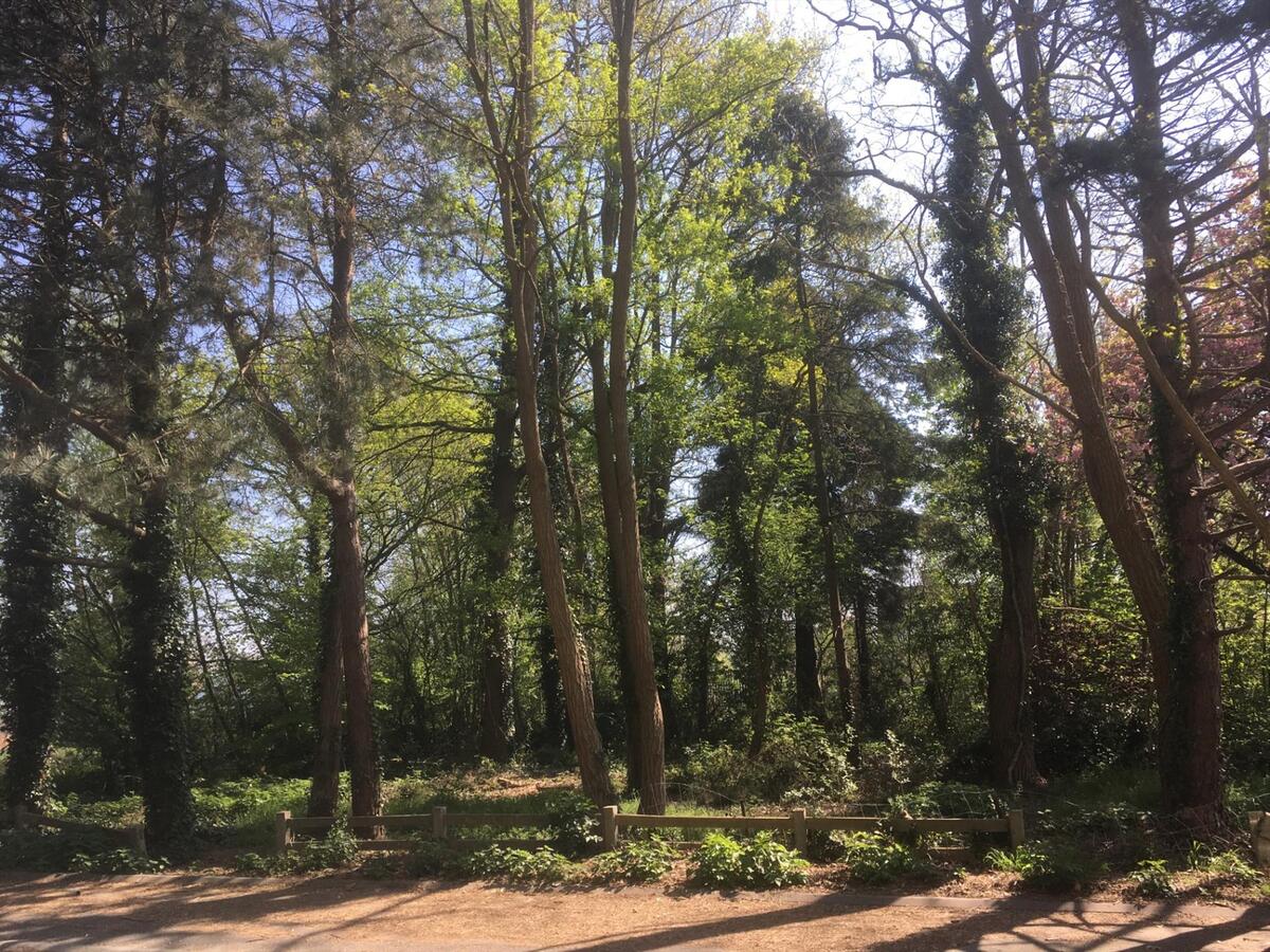 Perceel bouwgrond 748 m2  (Half Open Bebouwing). 