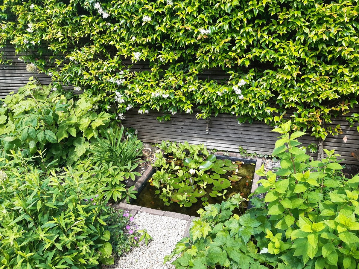 Goed gelegen woning met terras en tuintje. 