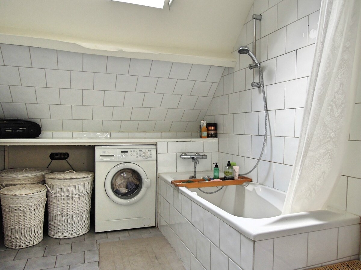 Stijlvol en licht dakappartement van 125 m² in hartje Antwerpen 