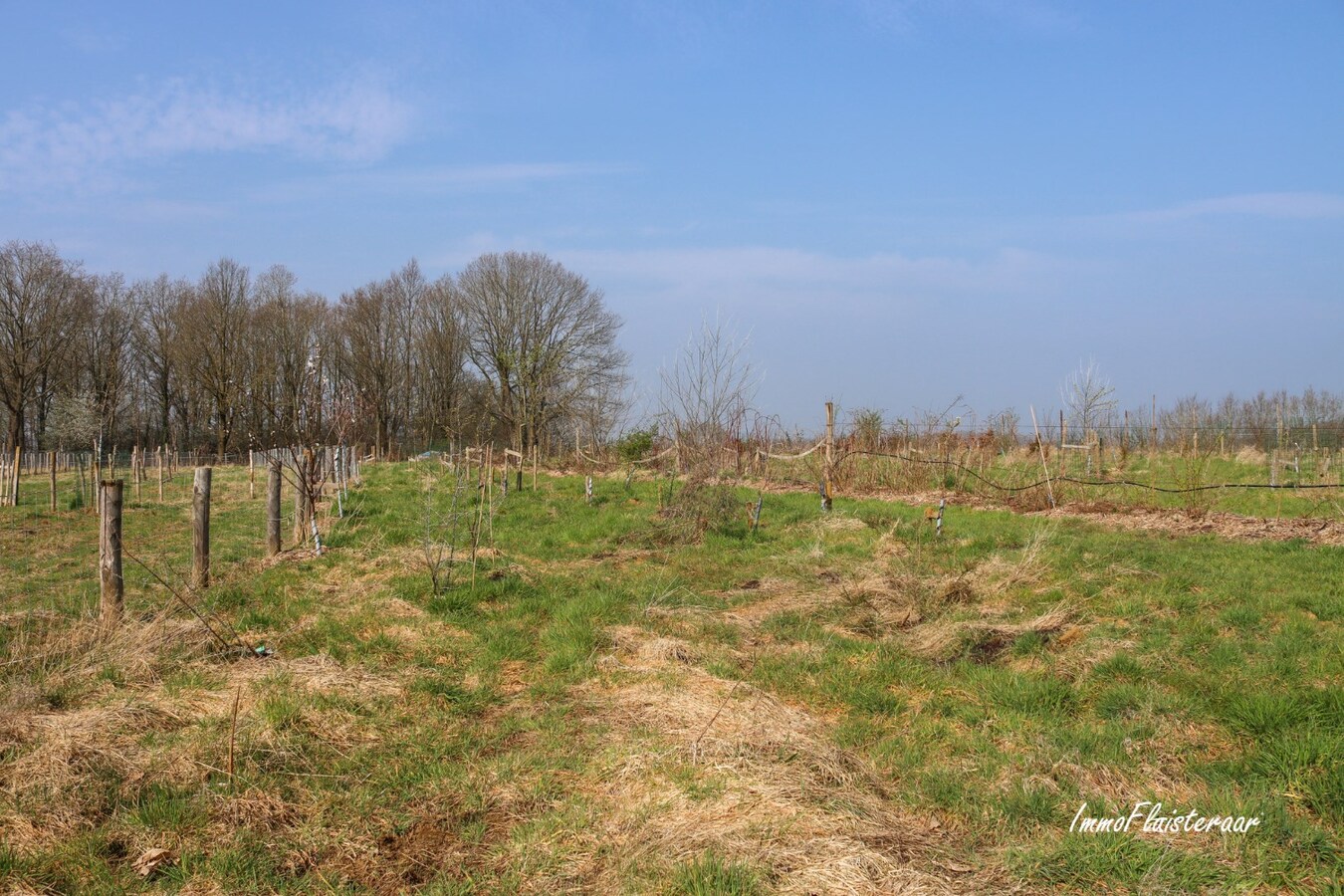 Champ de 90 ares à Tielt-Winge 