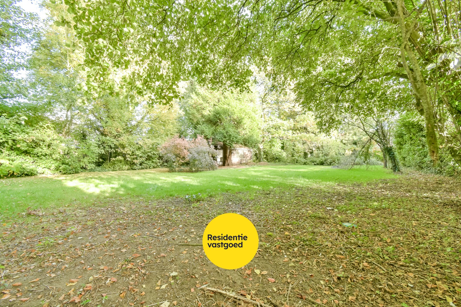 KIJKDAG zaterdag 8 november van 14u tot 16u, op afspraak! 