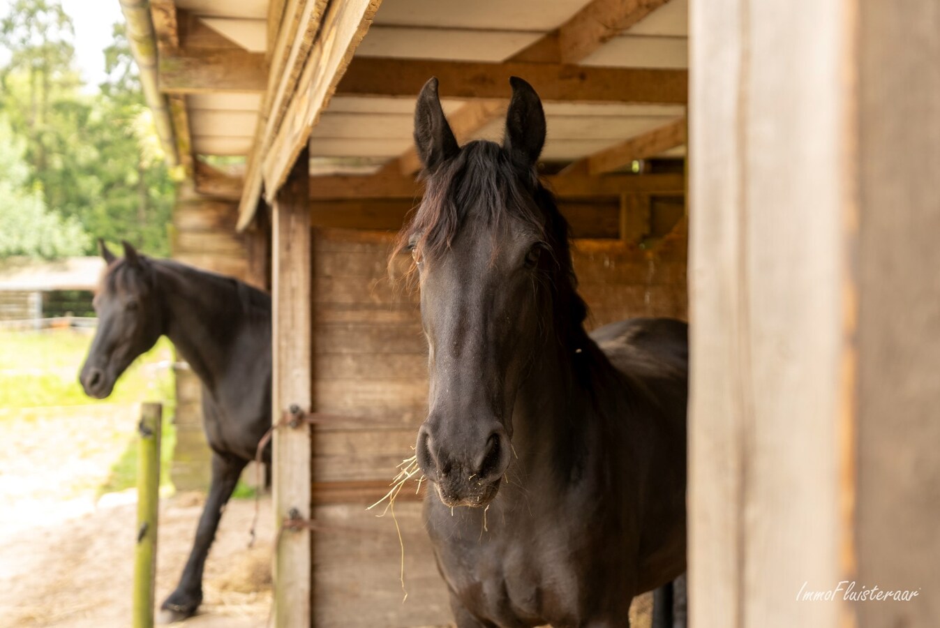 Authentic country house with spacious stable building and meadows on approximately 1 hectare in Weelde (Optional additional purchase of meadow of approximately 1 hectare) 