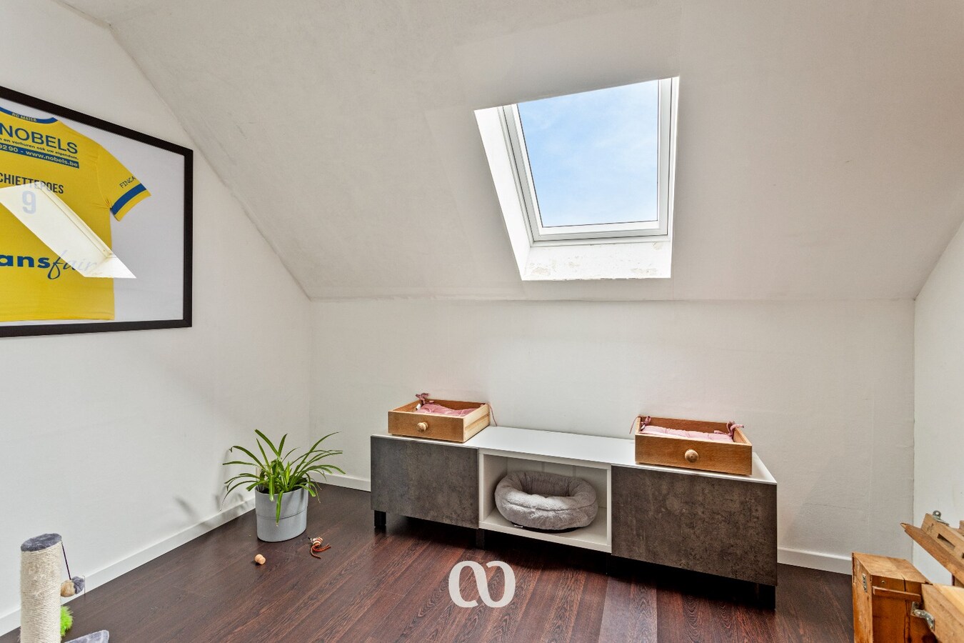 Ruime, gerenoveerde woning op prachtige ligging 