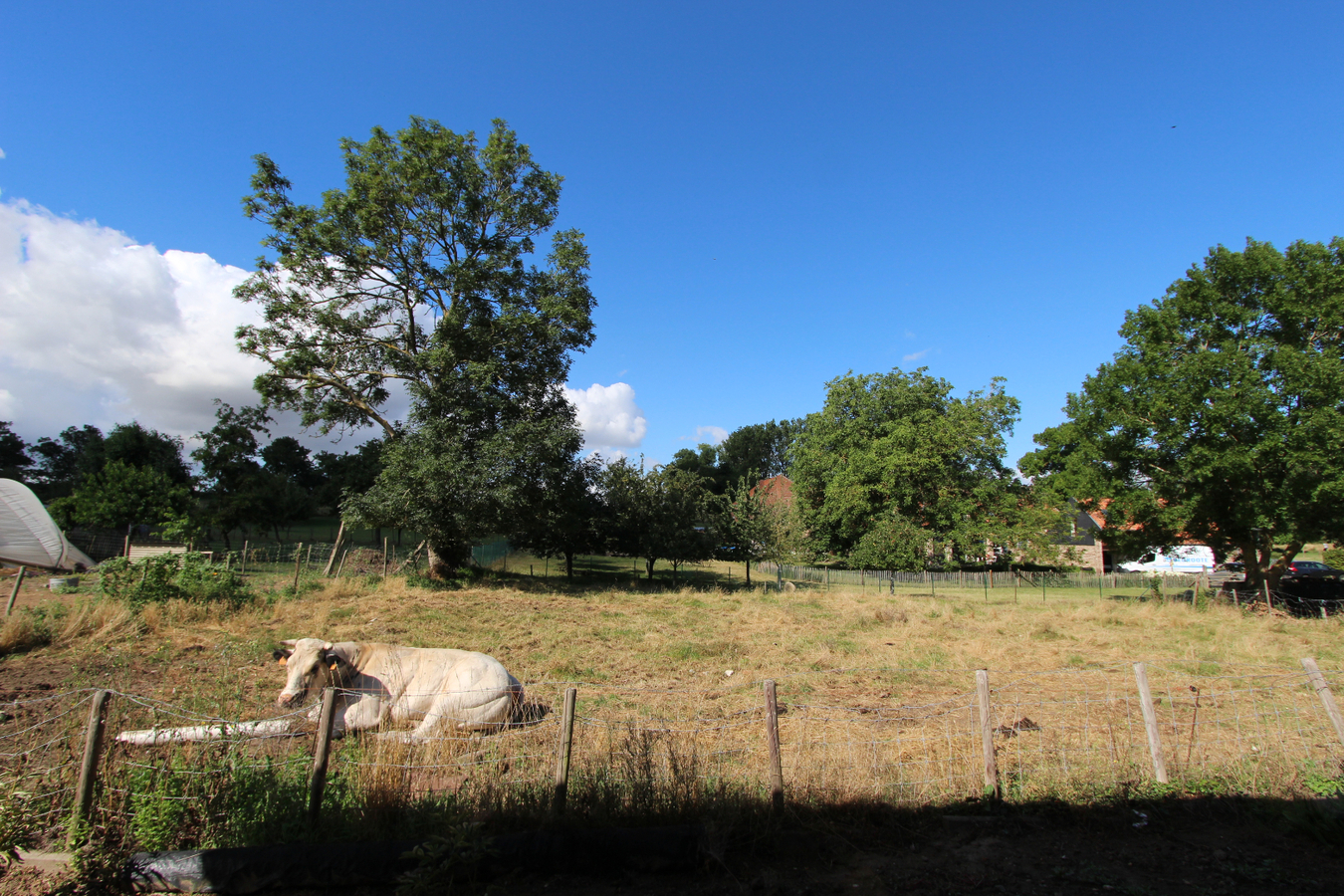 Verkocht woning - Tongeren