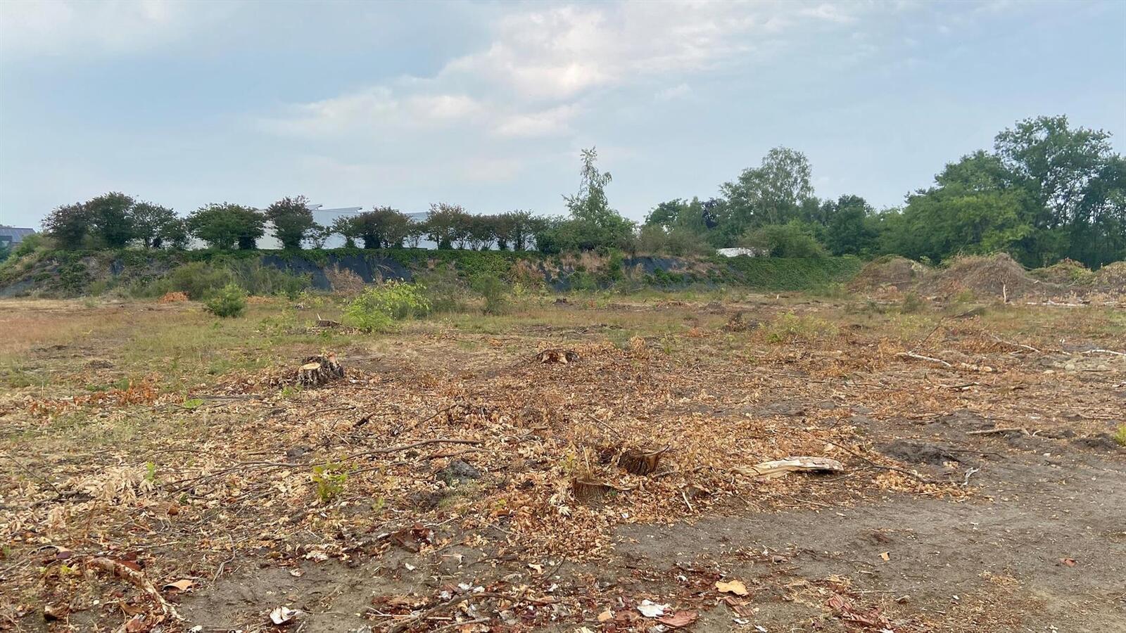 Grond verkocht in Diepenbeek