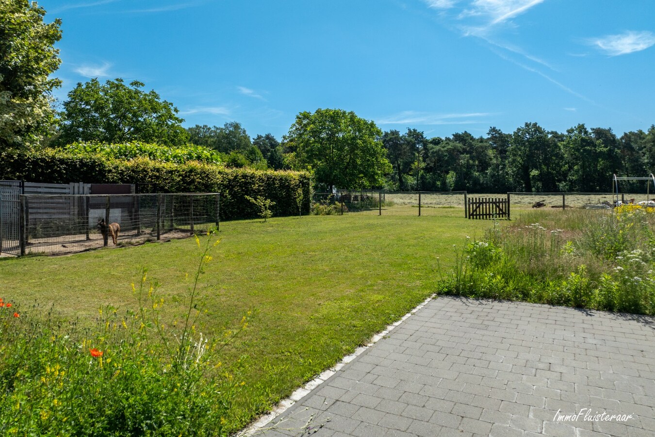 Gerenoveerde woning met weiland op ca. 1,2 ha te Bree 