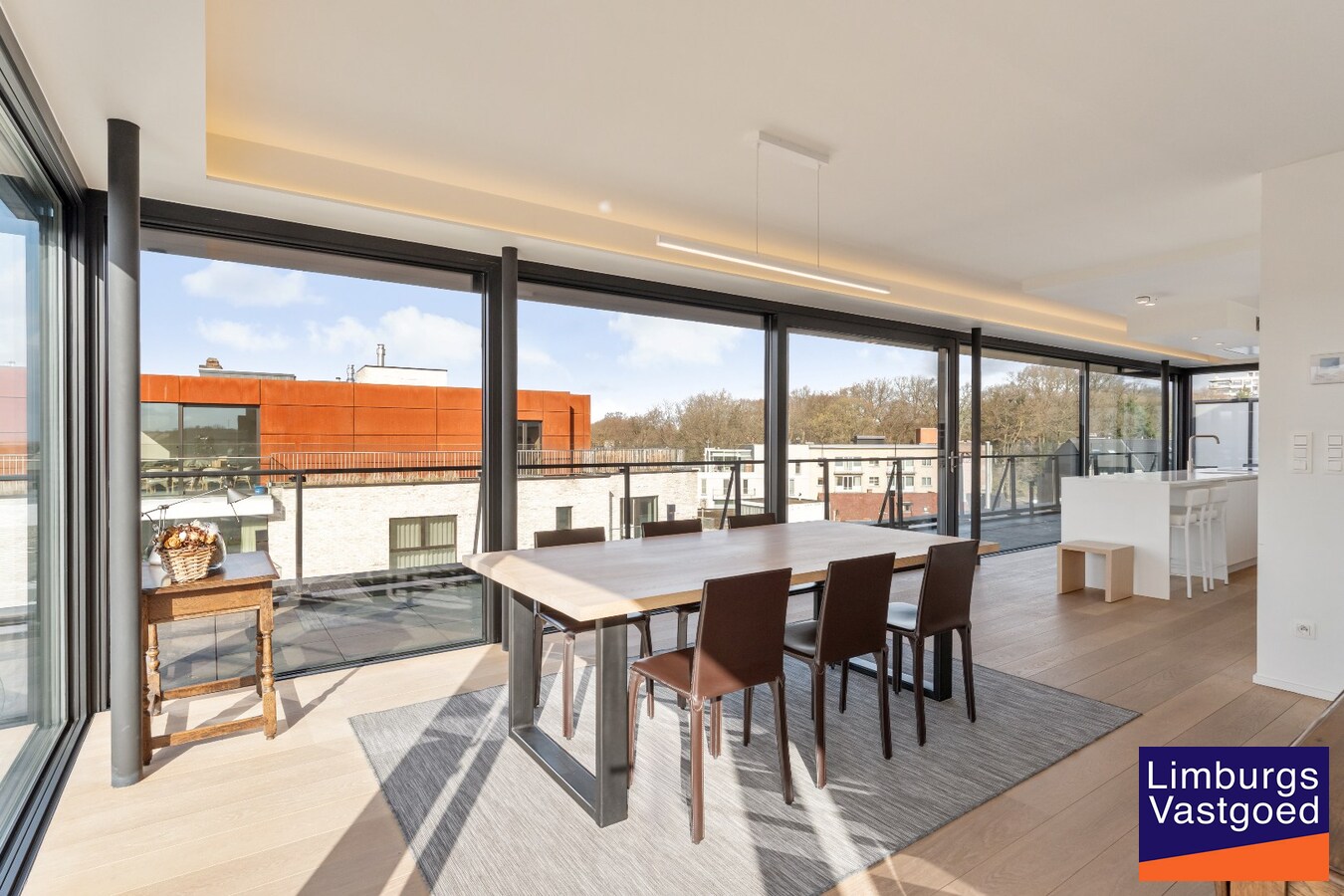Exclusief penthouse met ruim terras, 2 slpk, dubbele autostaanplaats, centrum Genk 