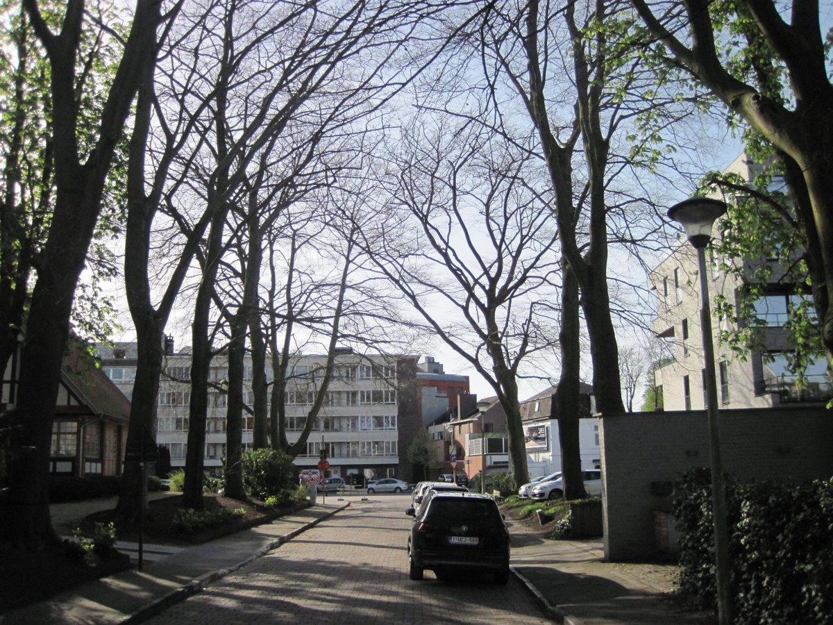 Lichtrijk 2 slaapkamer-appartement nabij de Sterre. 