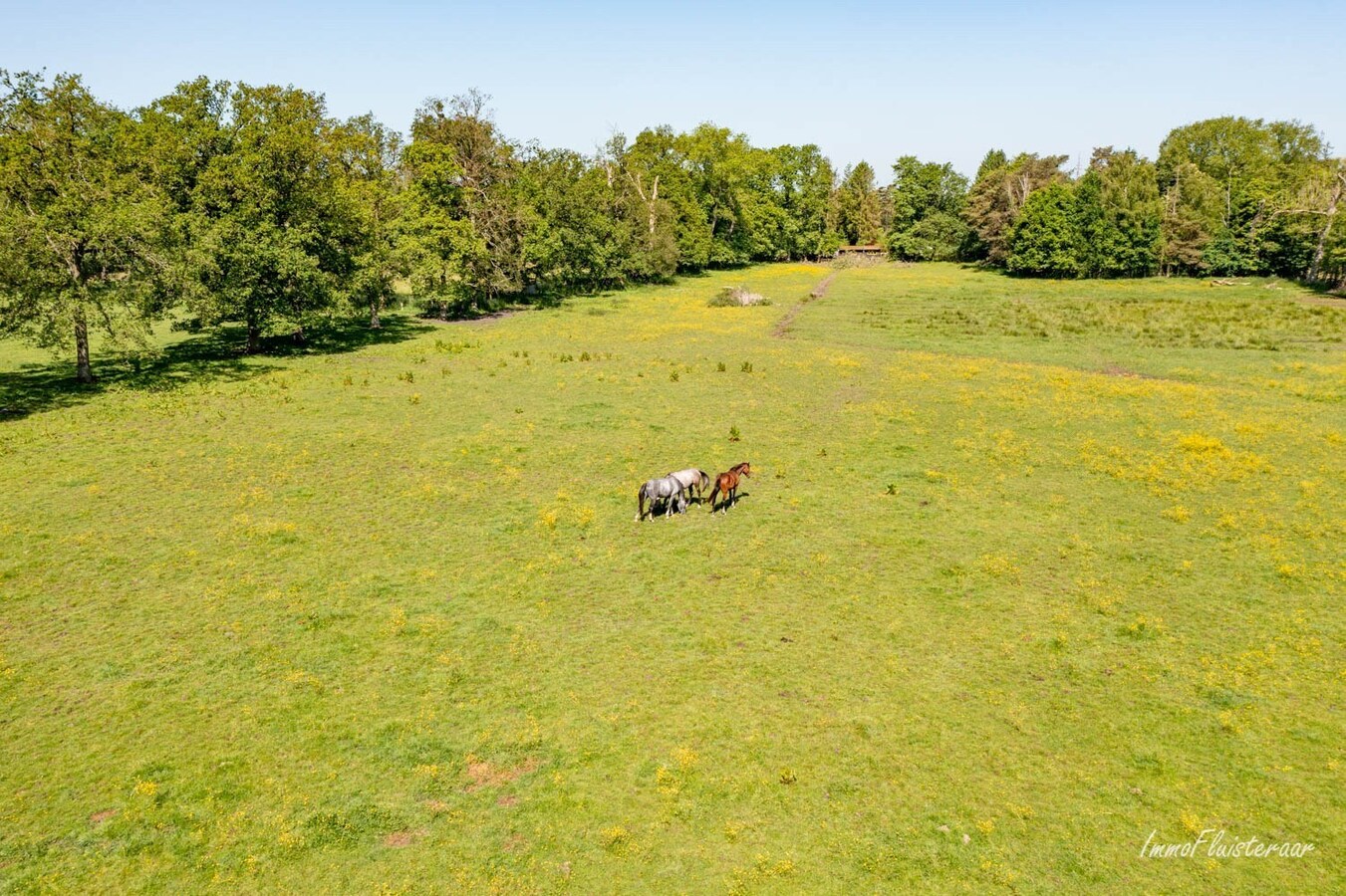 Property sold in Ham