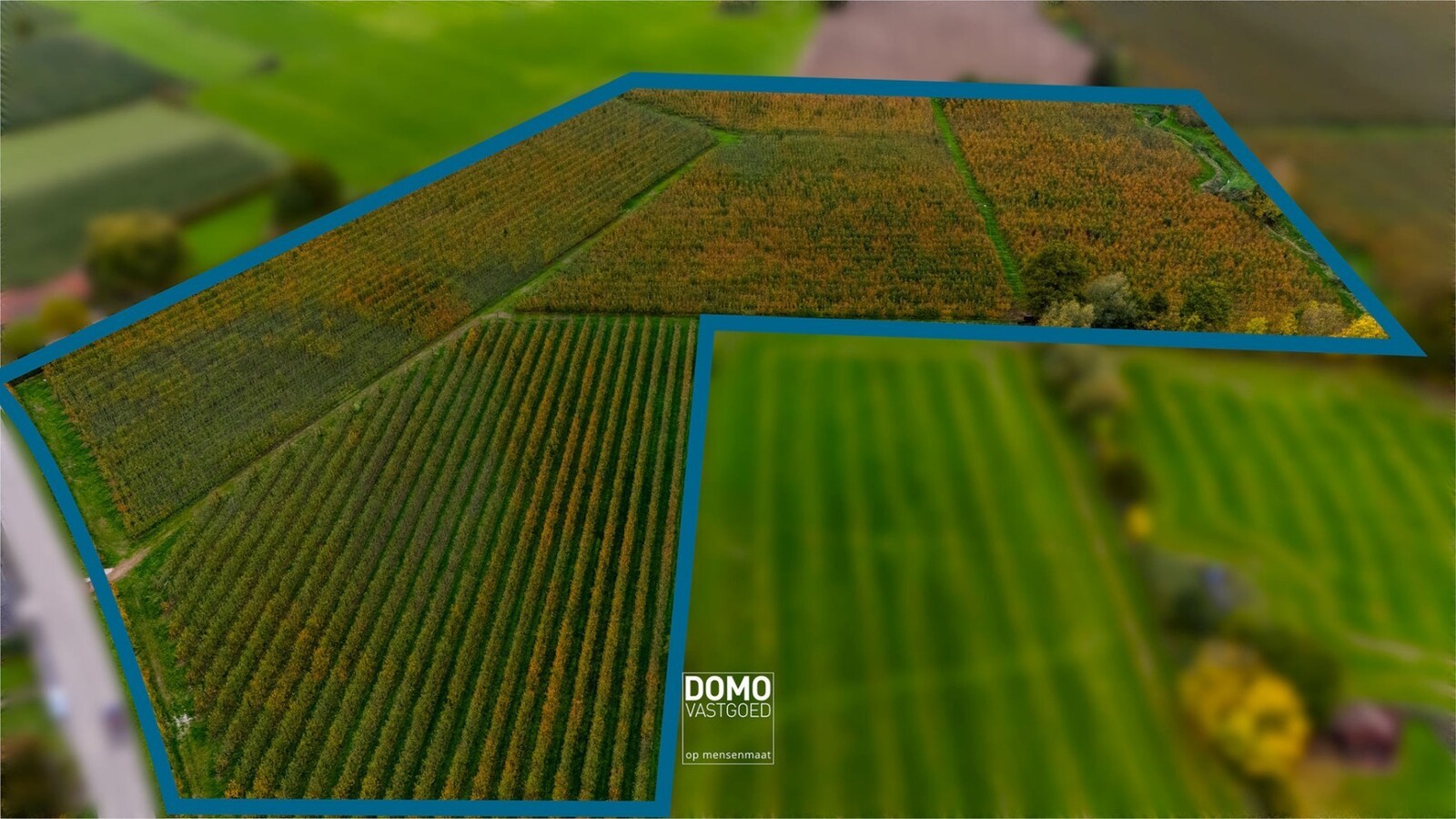 AGRARISCH GELEGEN PERCELEN BESTEMD ALS WEILAND EN BOOMGAARD TE KOOP IN HERK-DE-STAD 