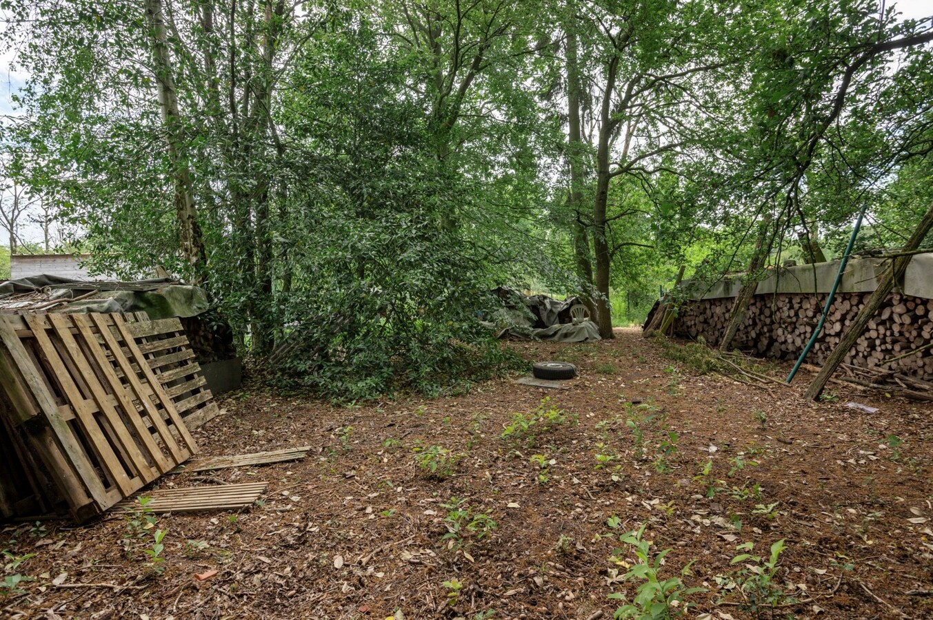 Charmante vrijstaande woning te Putte-Kapellen! 