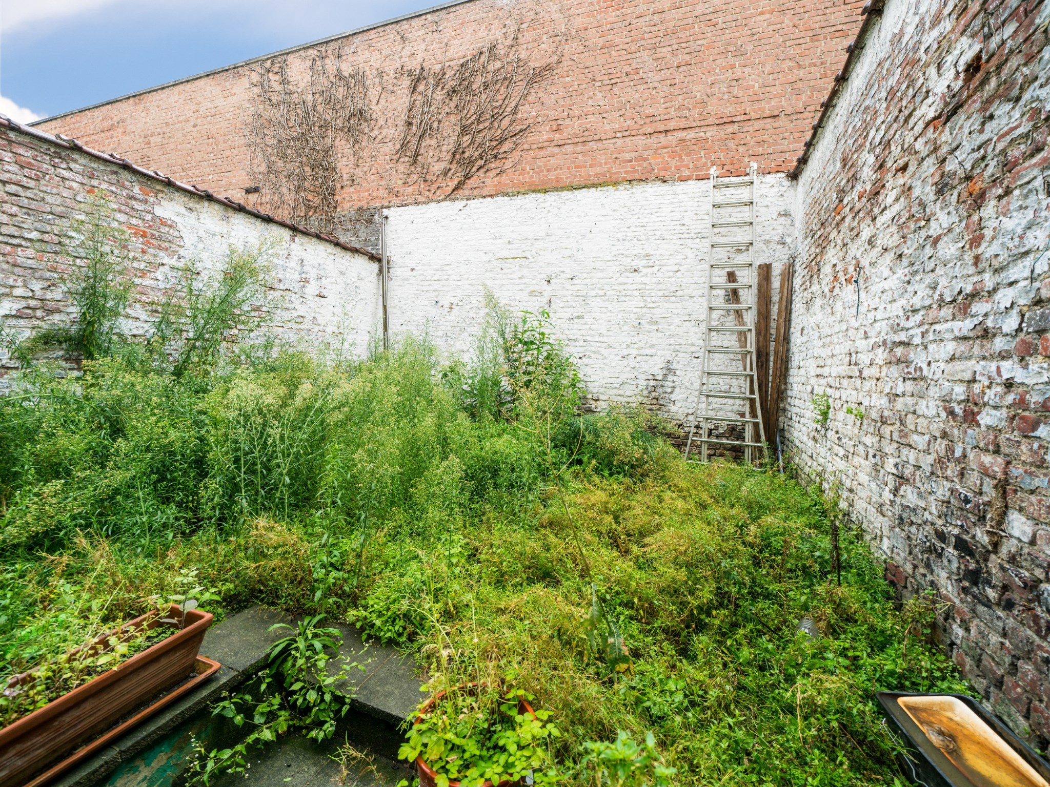 Opbrengstwoning met 3 erkende entiteiten 