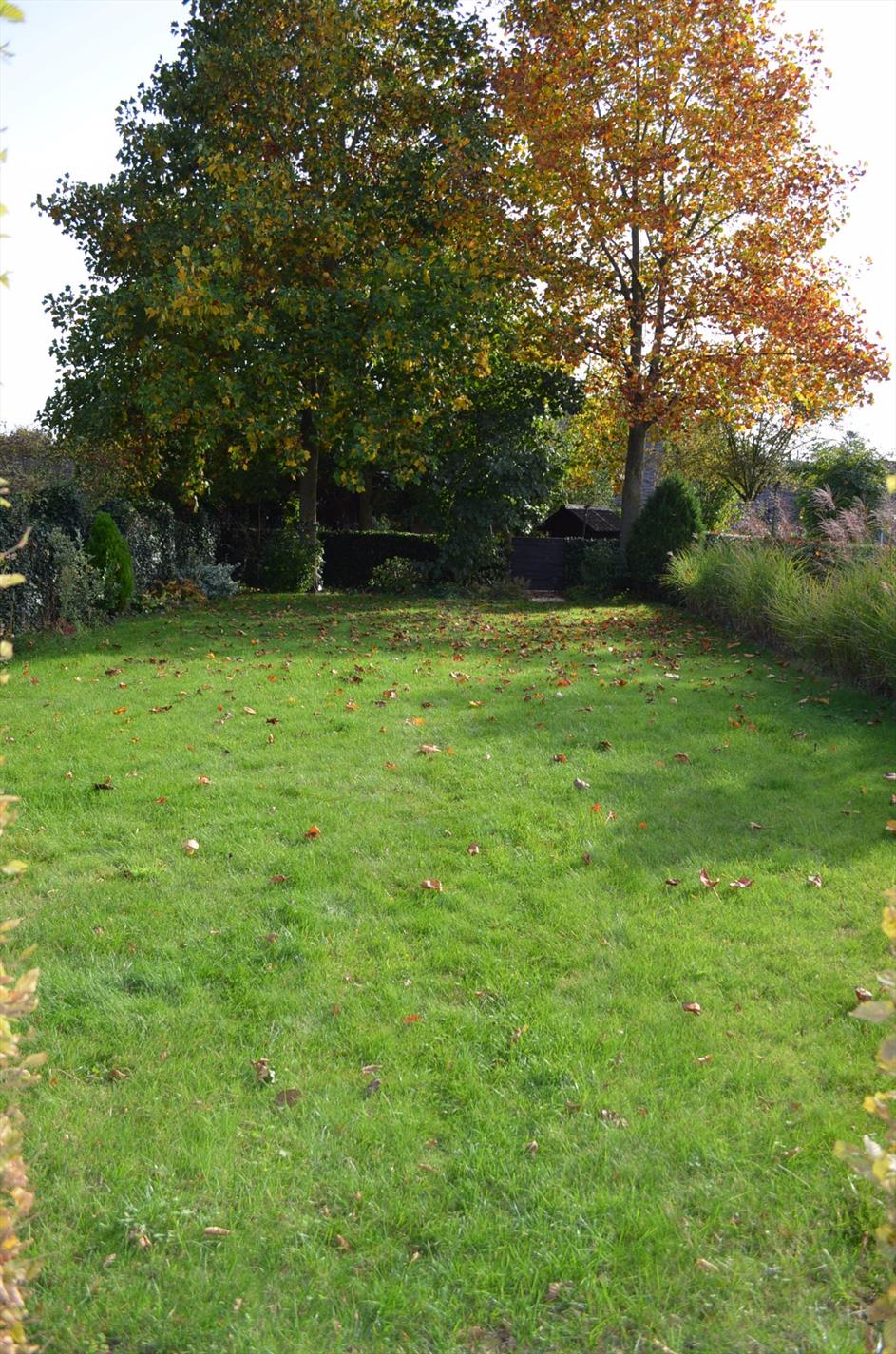 Charmante gezinswoning met zonnige tuin op 590 m²  te centrum Maldegem 