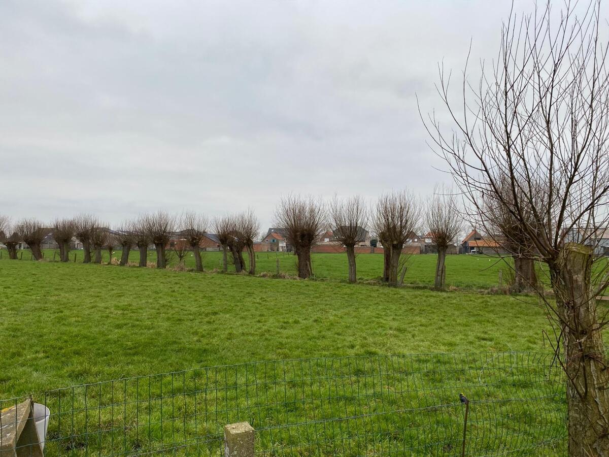 Stuk weiland te Roksem 