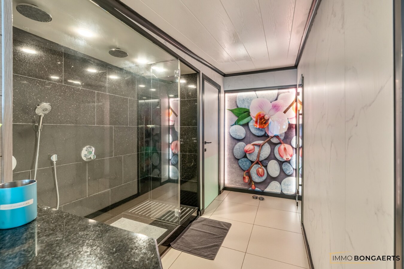 Exclusieve woning met volledig uitgeruste wellnesspraktijk nabij Hasselt 