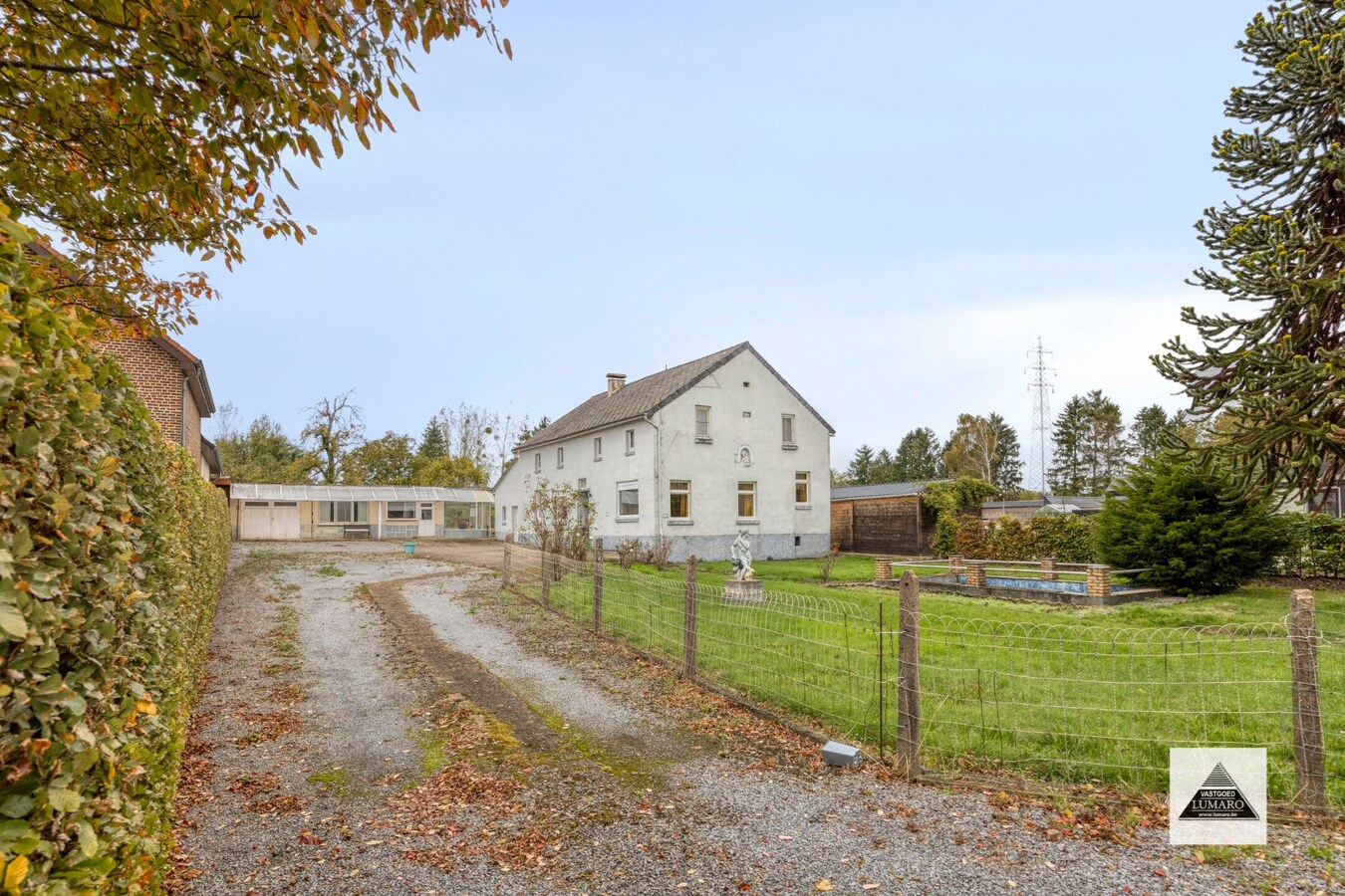 Te renoveren langgevel-hoeve op 3.536 m² in Maasdorp Boorsem 