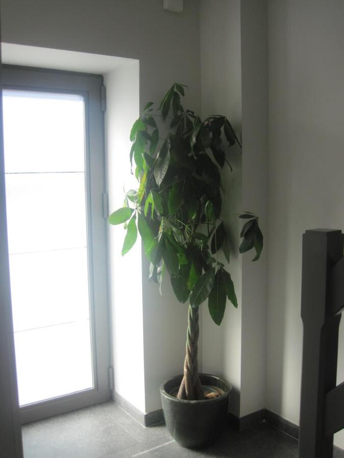 Praktische Half Open Bebouwing. 