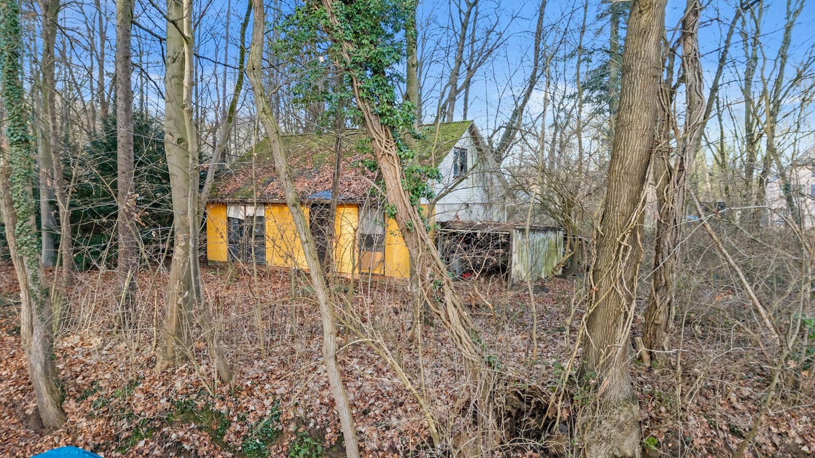 Te koop grond - Pellenberg