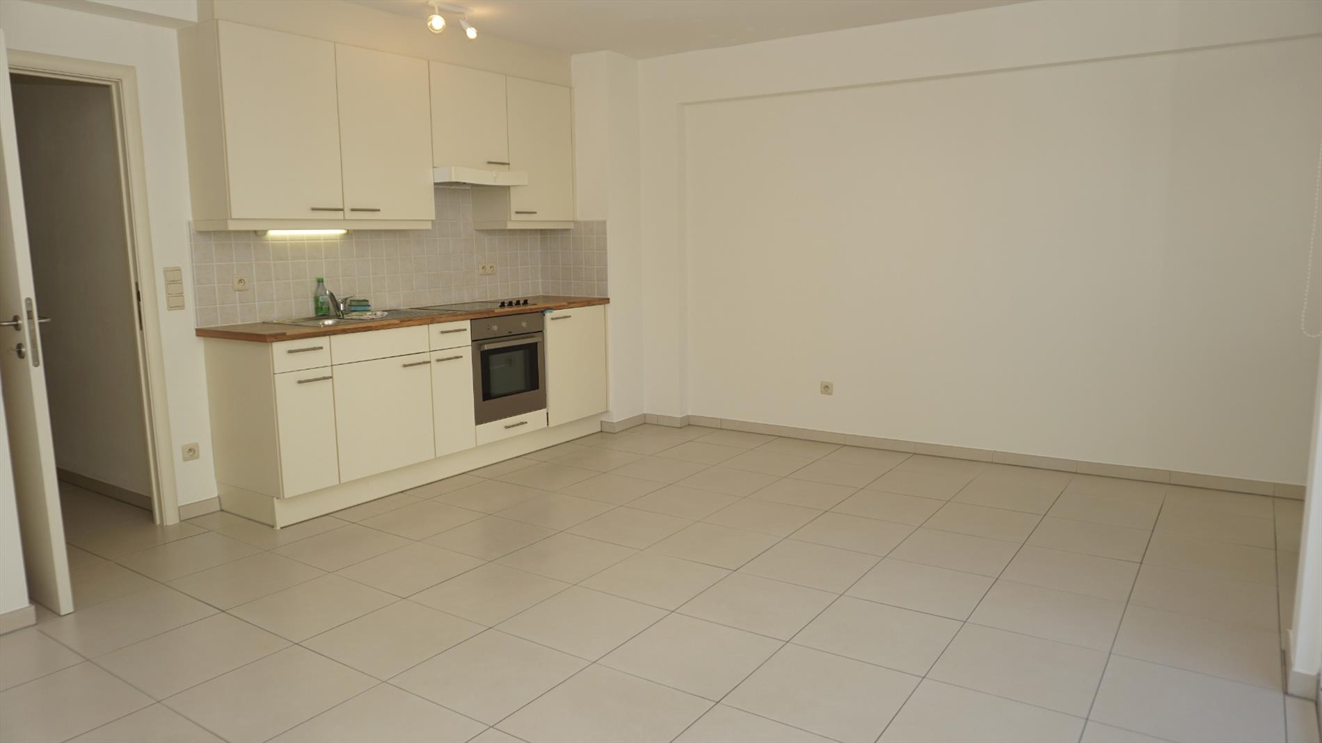 APPARTEMENT MET 1 SLAAPKAMER BIJ PETIT-PARIS 