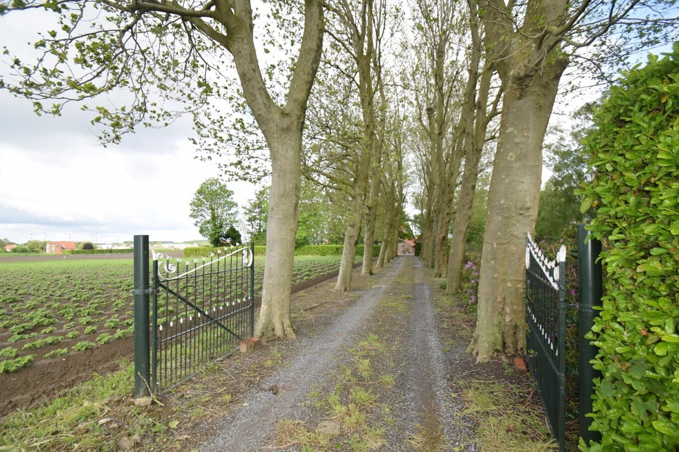 Authentieke hoeve op 3886 m² grond, landelijk gelegen met prachtige tuin. PAS VRIJ VANAF 15 JAN. 2026!! 