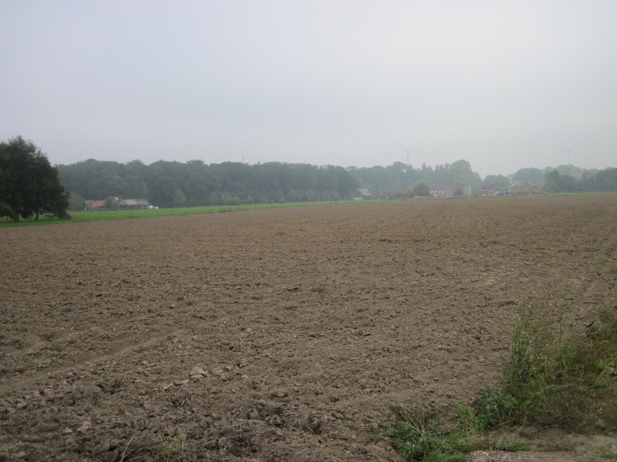 3 percelen landbouwgrond gelegen te Landskouter 