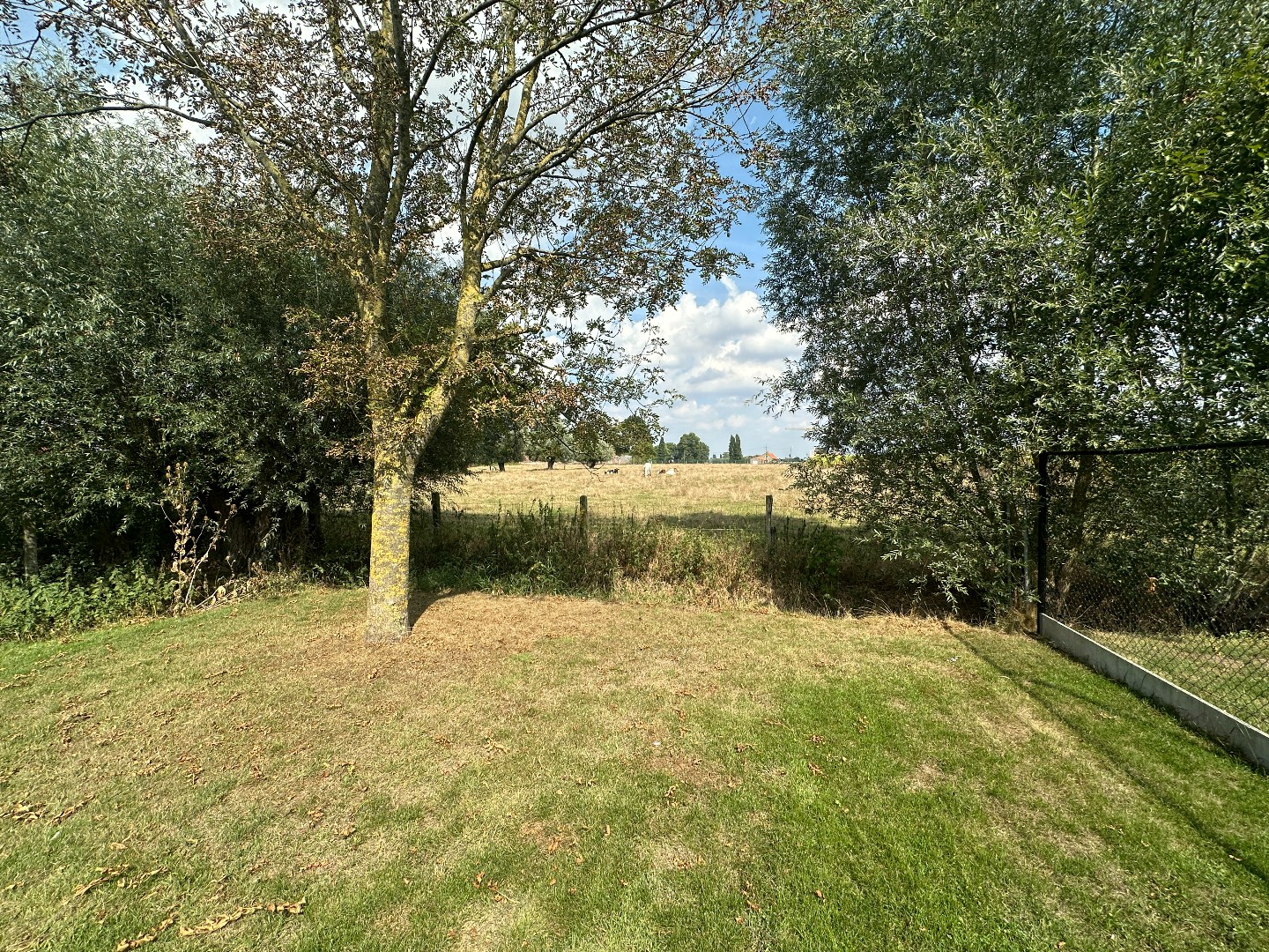 Prachtige energiezuinige nieuwbouwwoning, 3 slpk, bureel, mooie tuin met verzicht, Torhout 
