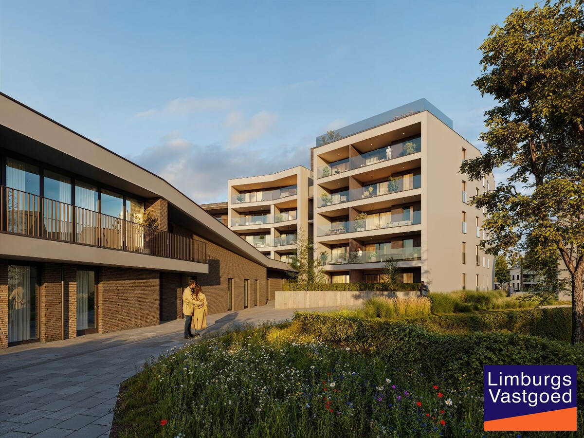 Casco Commercieel gelijkvloers met terras, 219 m², centrum Hasselt 