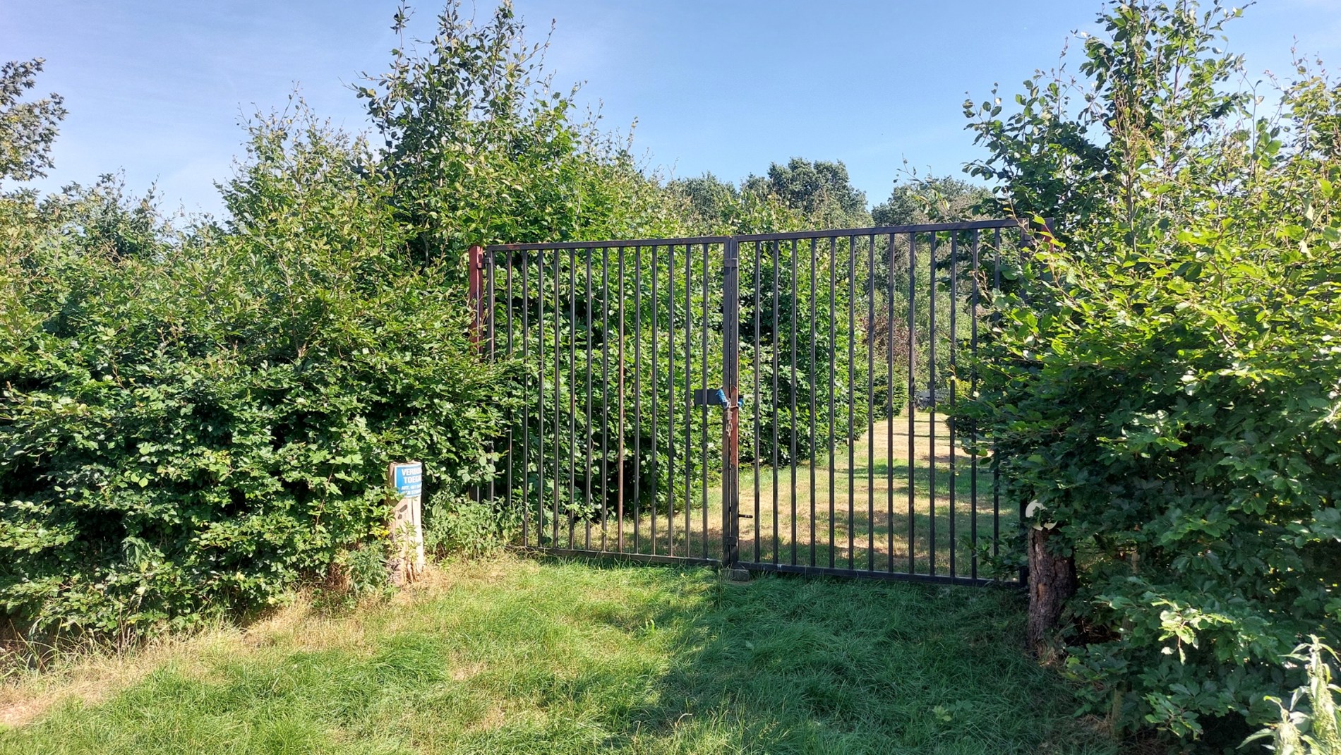 Bos te koop in Weert