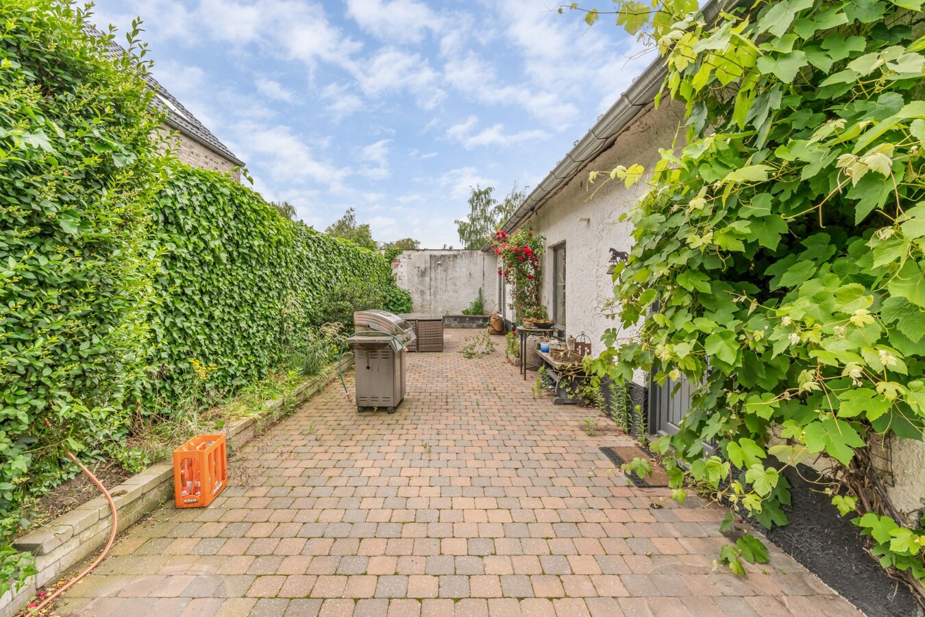 Uniek gelegen woning aan de bosrand op een perceel van 36a67ca waarvan 22a82ca geschikt is als paardenweide! 