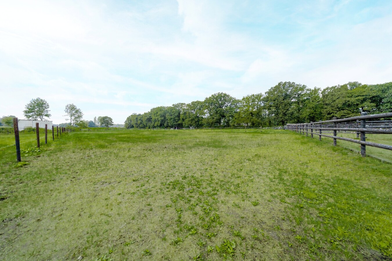 Prachtige paardenaccommodatie op ca. 3,2 ha te Wuustwezel 