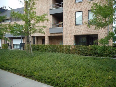 Verkocht appartement - Meeuwen