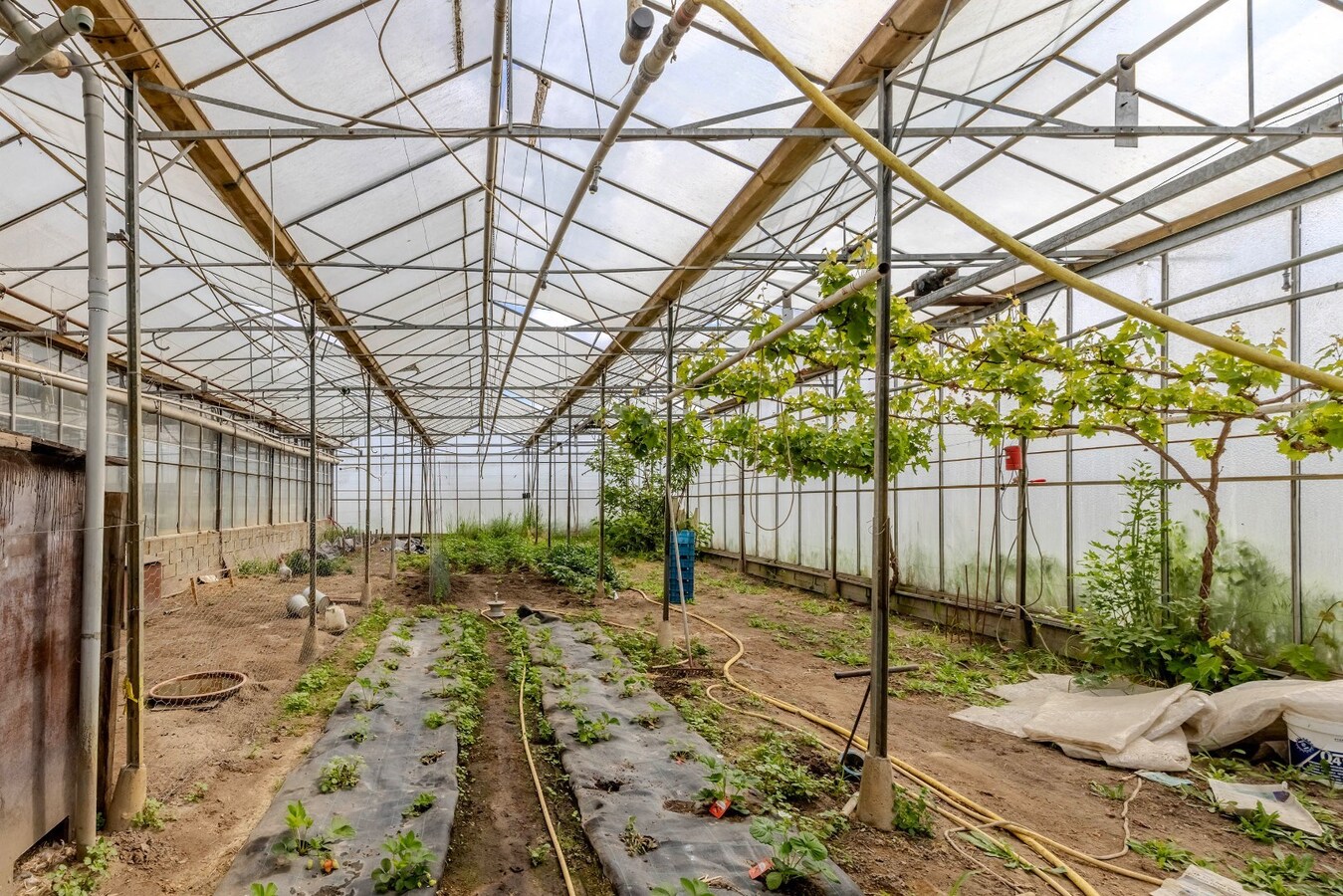 Ruime, landelijk gelegen woning op 65 are 