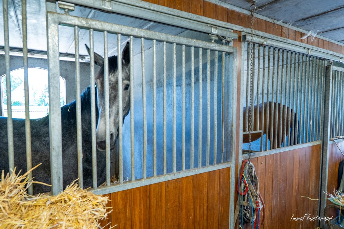 Goed gelegen langgevelhoeve met paardenstallen op ca. 3,5 ha. 