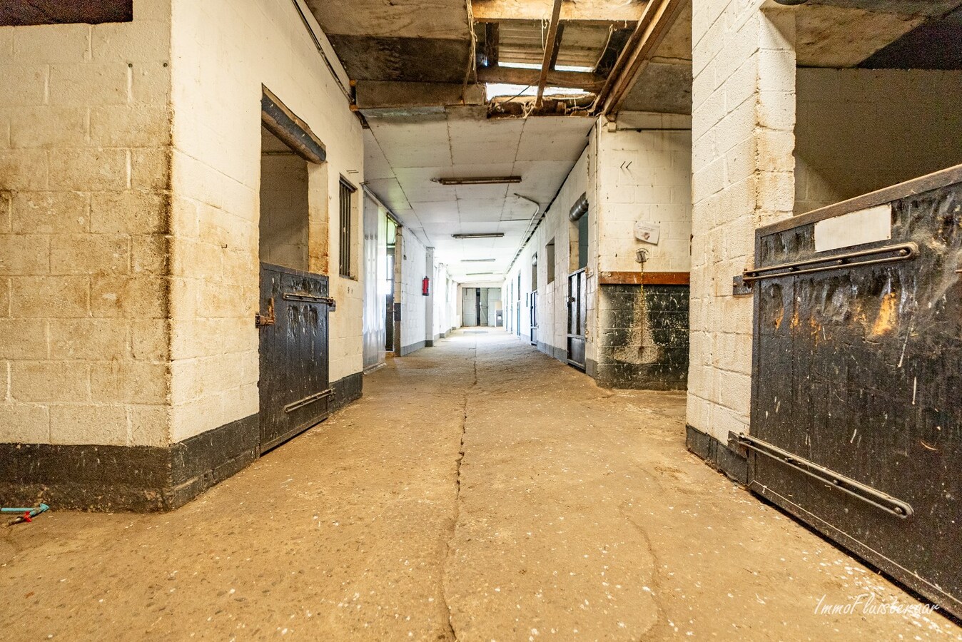 Propriété équestre avec maison à rénover à ca. 90a à Wonck (Bassenge). 