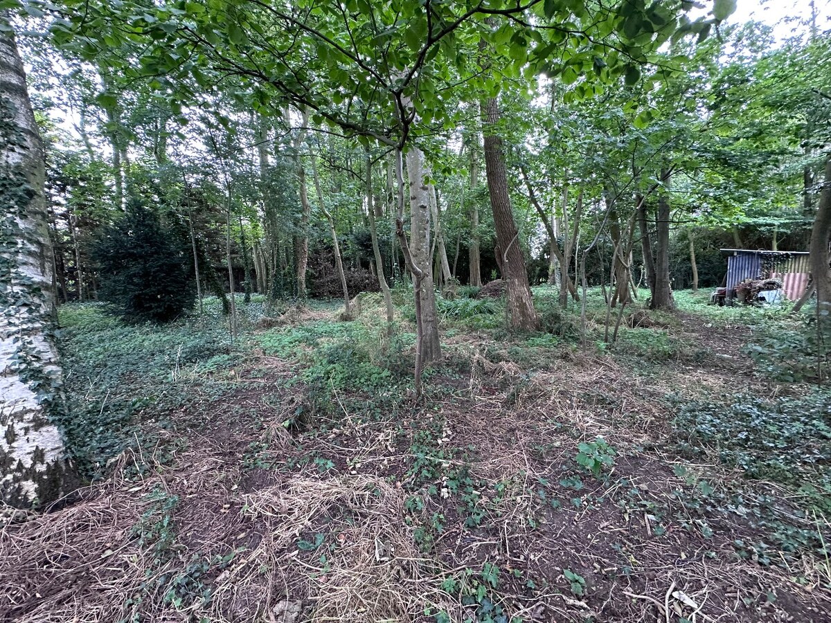 Grond te koop te Koekelare 