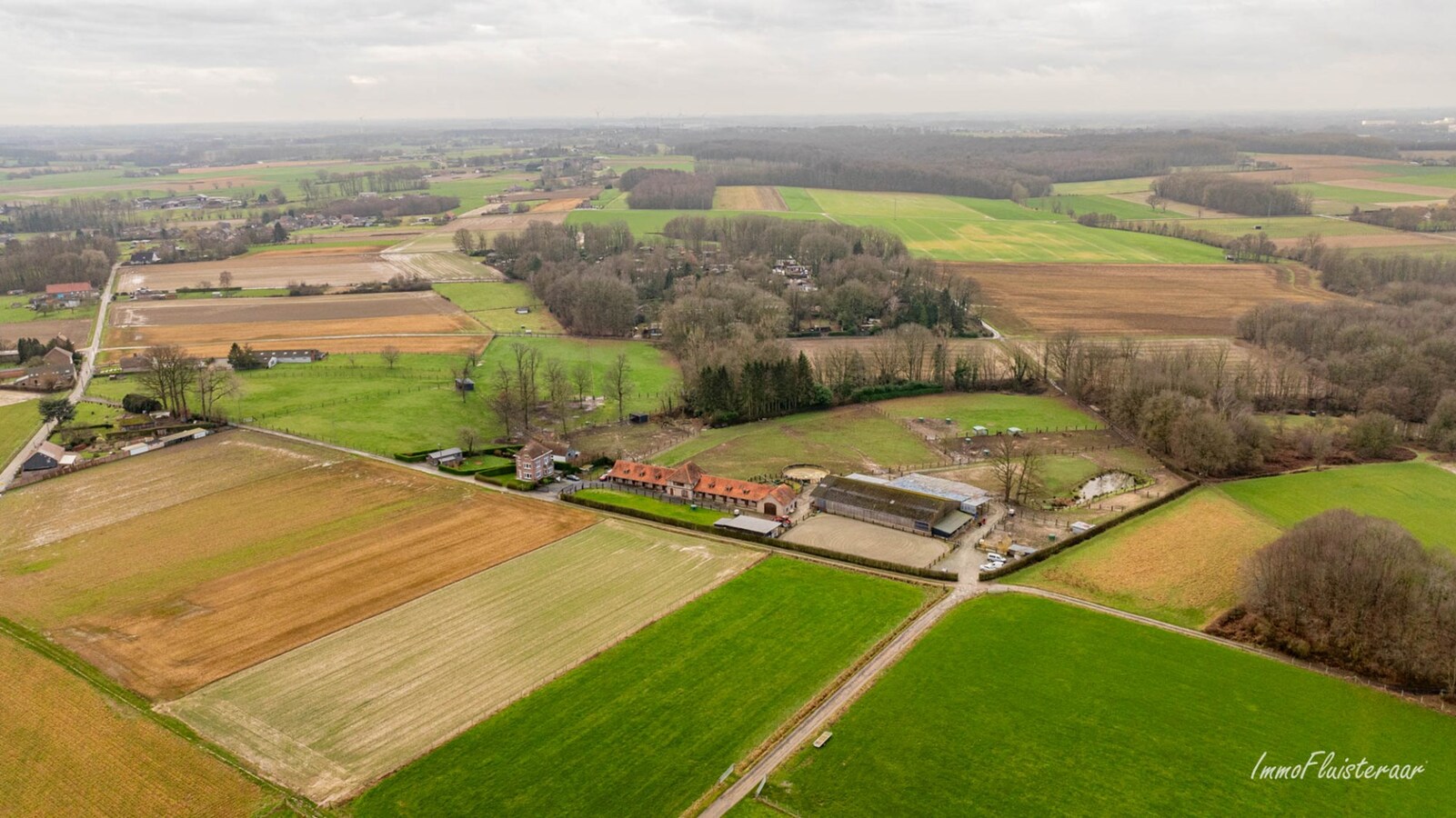 Magnifique complexe équestre avec maison d'entreprise, environ 33 écuries et une piste intérieure sur plus de 5,6 hectares à Bever (Brabant flamand). 