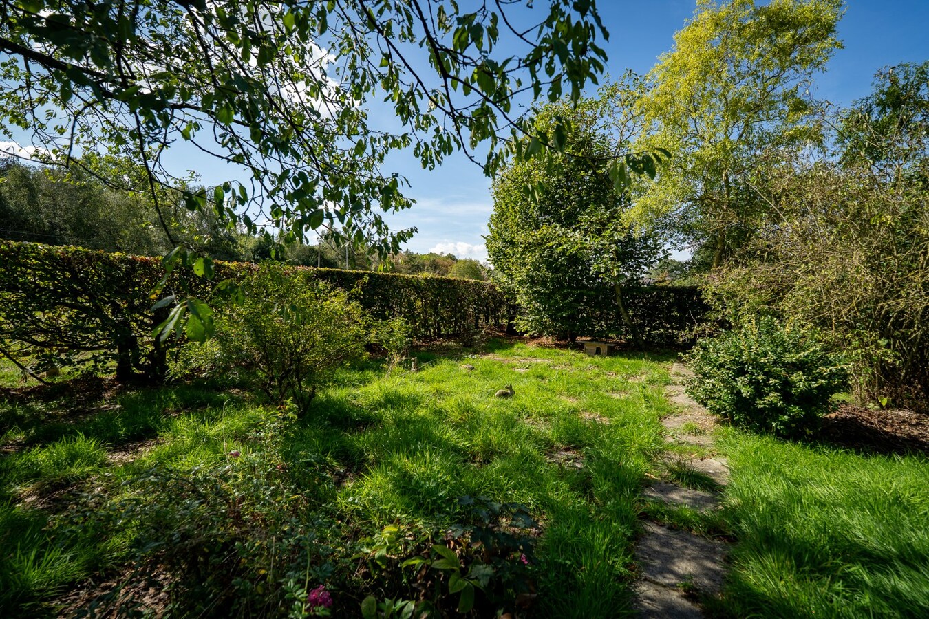 Renovated farmhouse with pasture on approximately 2 hectares in Veldegem. 