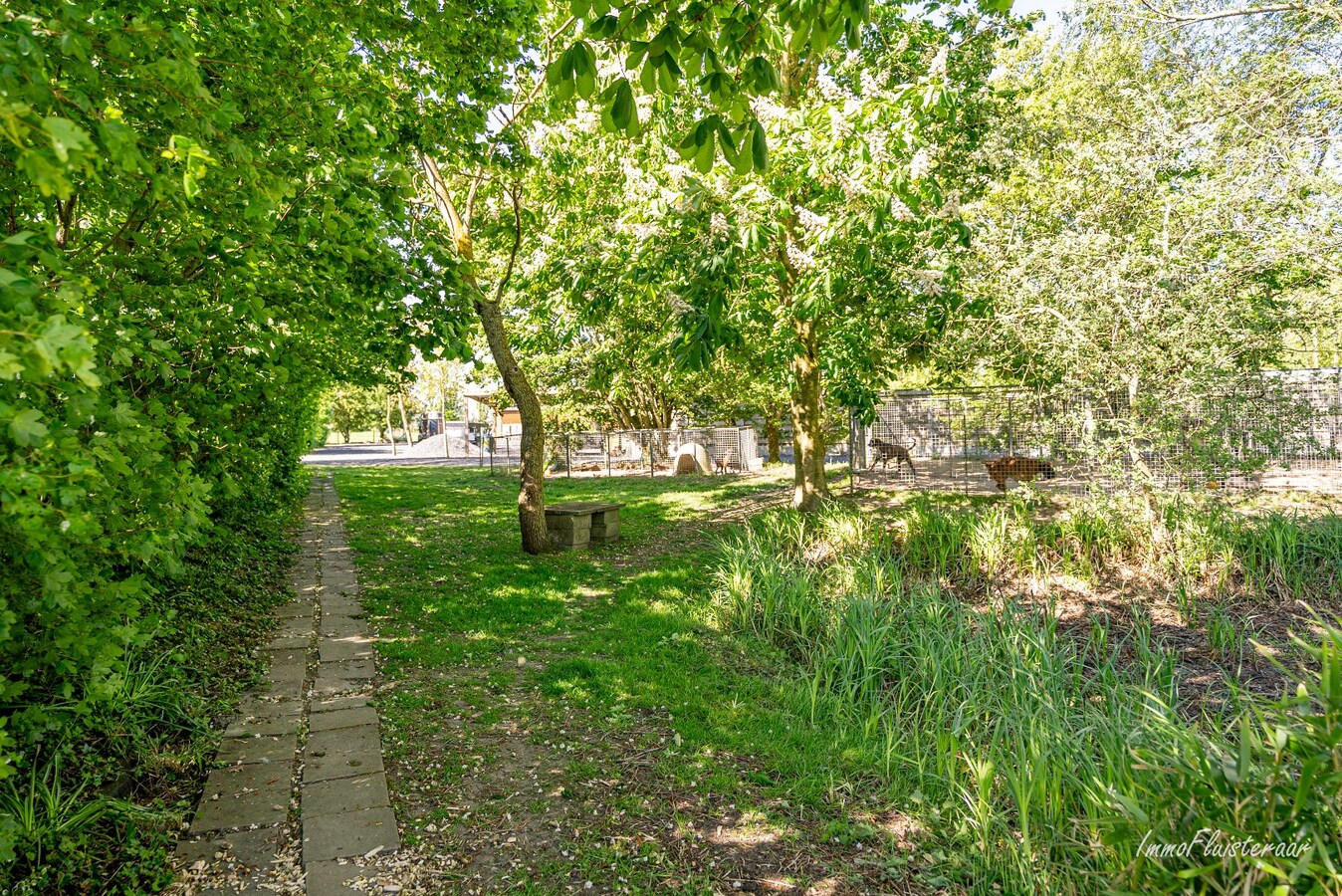 Magnifique domaine avec une villa neuve et un chenil et une pension pour chats agréés à Diksmuide 