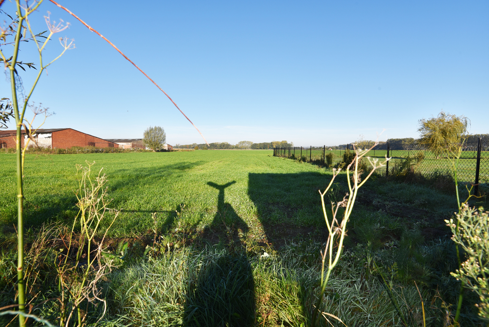 Te renoveren HoB met 3 slpks, tuin met zicht op weilanden te Adegem 