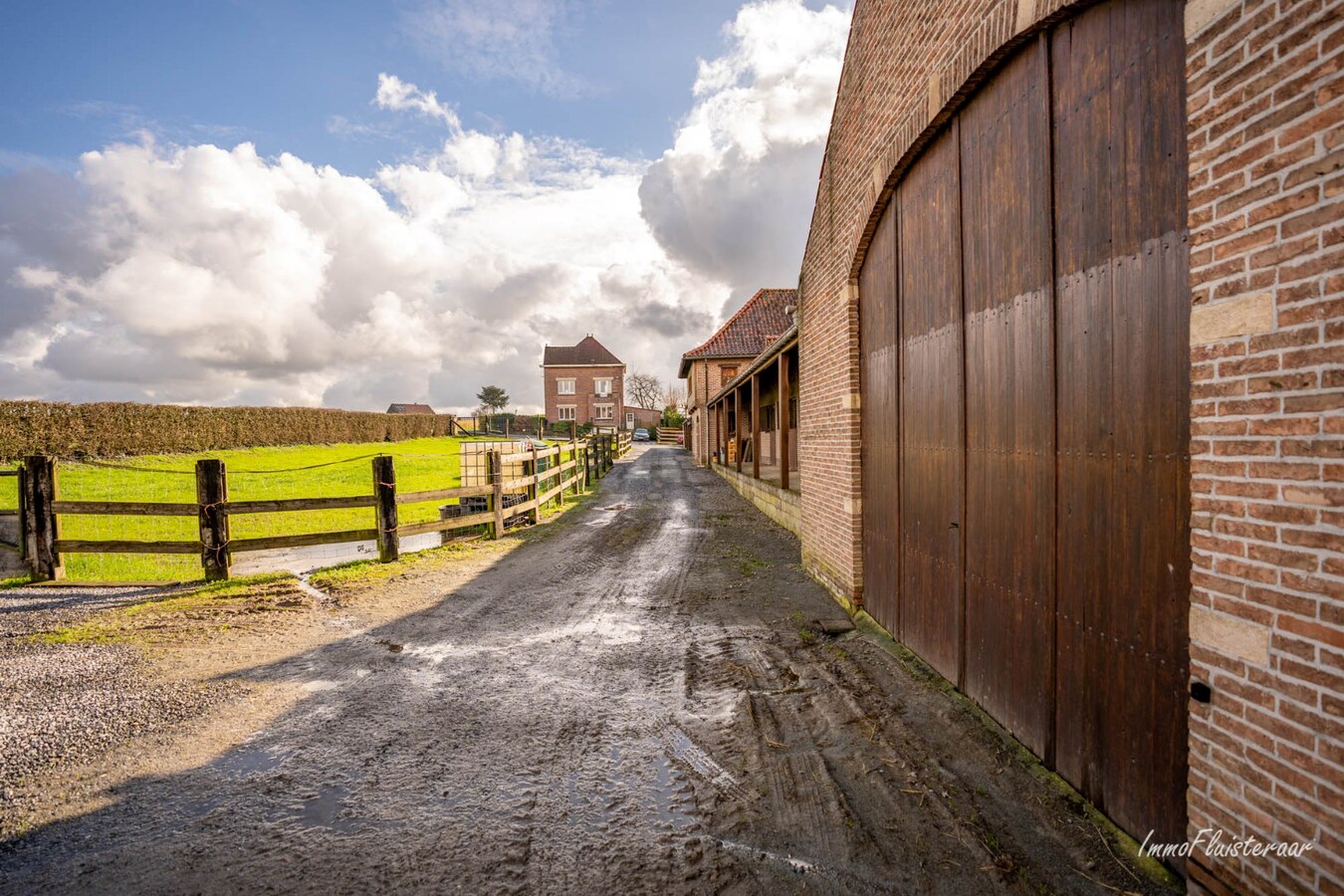 Magnifique complexe équestre avec maison d'entreprise, environ 33 écuries et une piste intérieure sur plus de 5,6 hectares à Bever (Brabant flamand). 