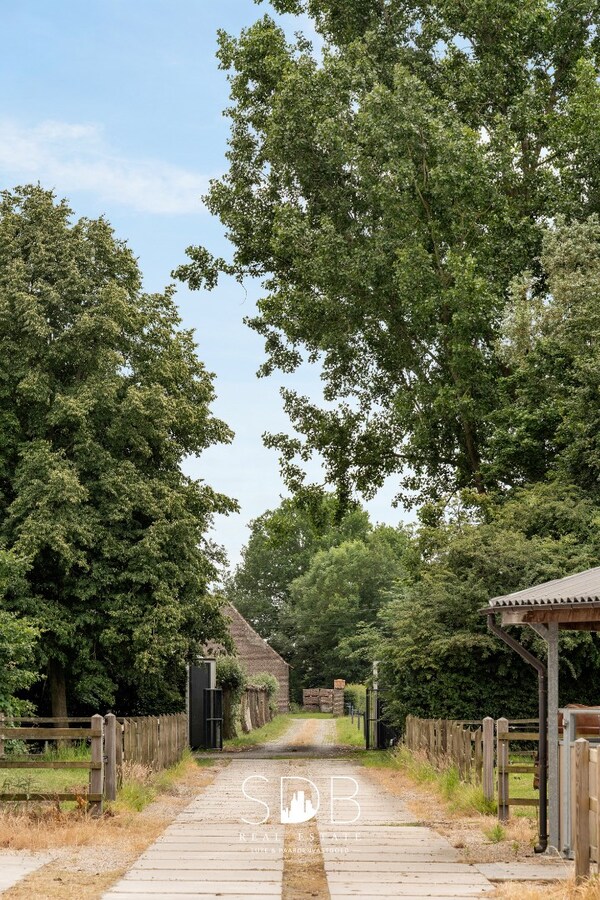 Prachtige villa met hippische accommodatie en graslanden +/-  23 ha 