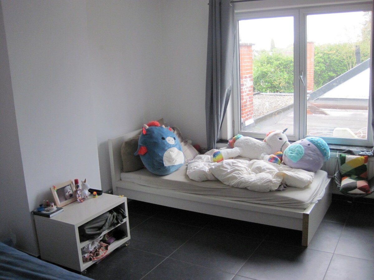 Lichtrijk appartement in Zingem 