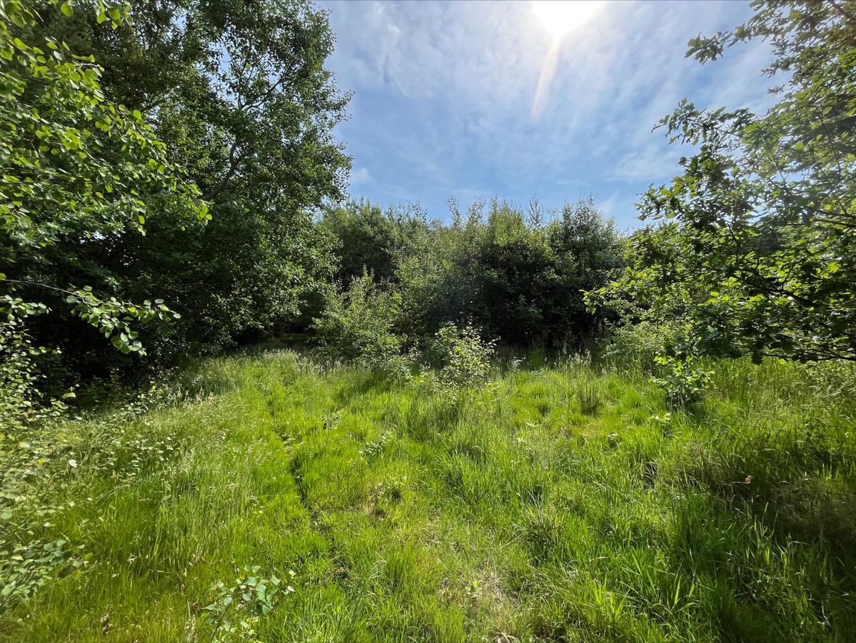 Verkocht landbouwgrond - Geel