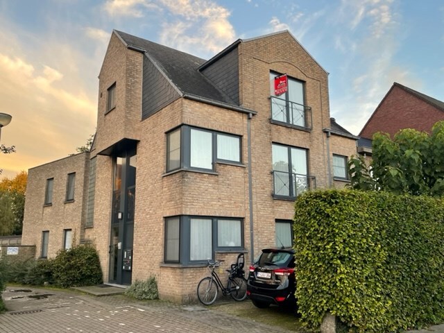 Verhuurd studio - Geel