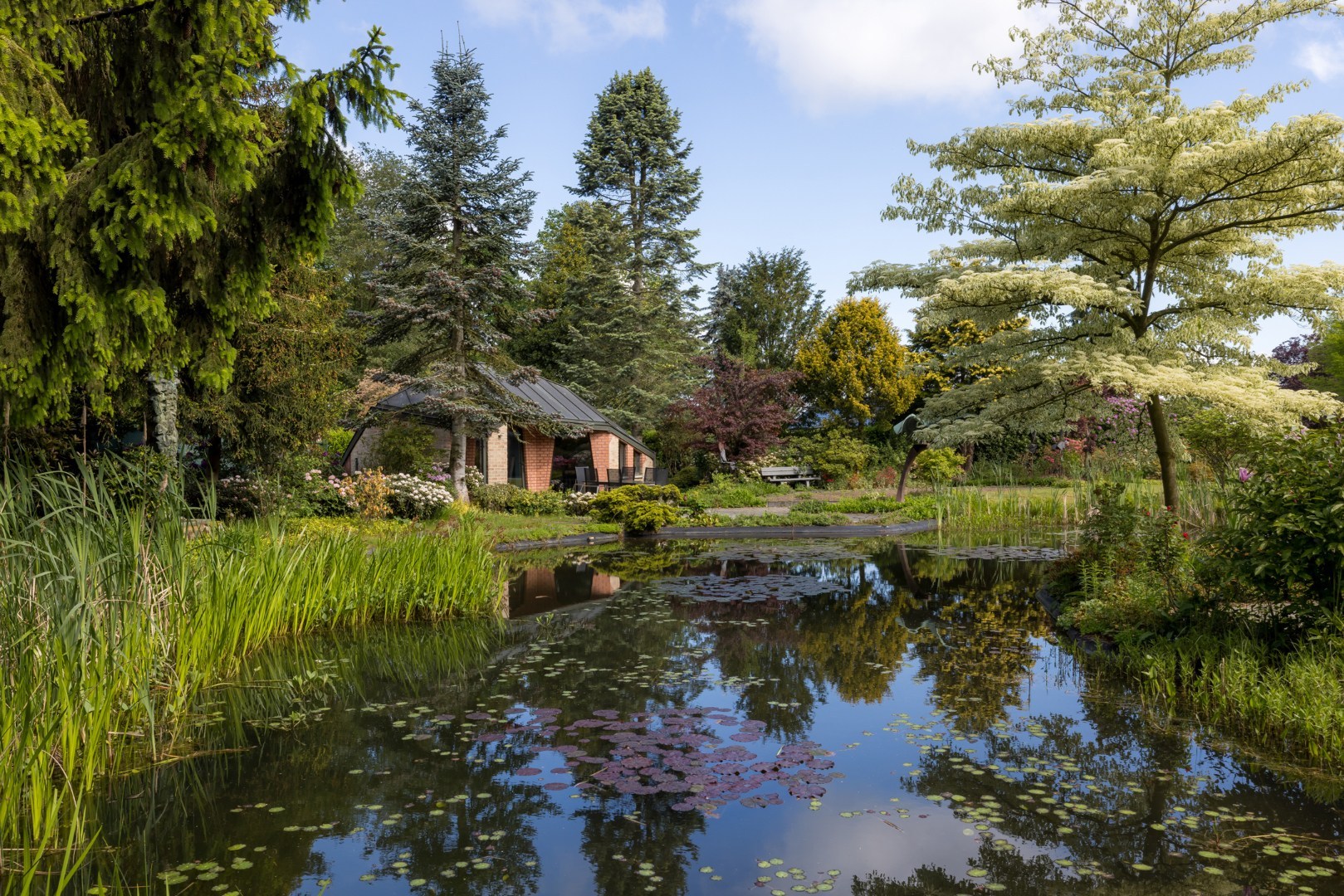 Een uitzonderlijke villa waar architectuur, natuur en kunst in perfecte harmonie samenkomen 