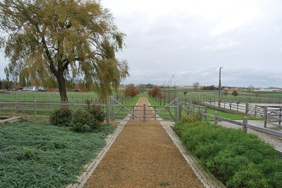 Instapklare eigendom met 12 stallen en 3 pistes op 3,1ha te Ardooie 