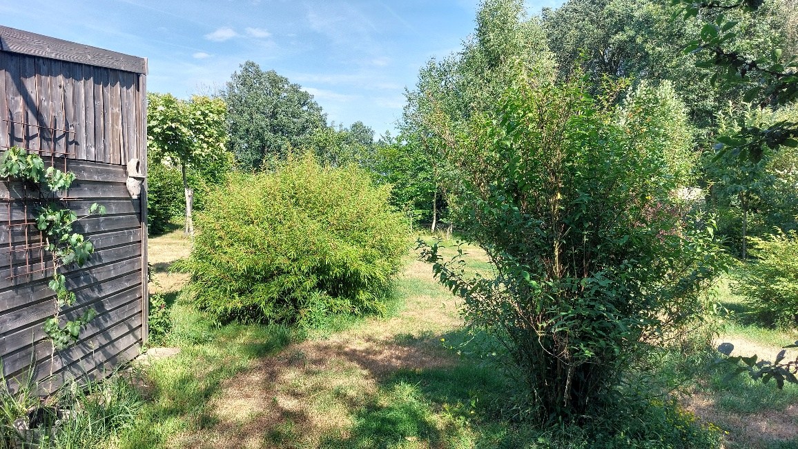 Bos te koop in Weert